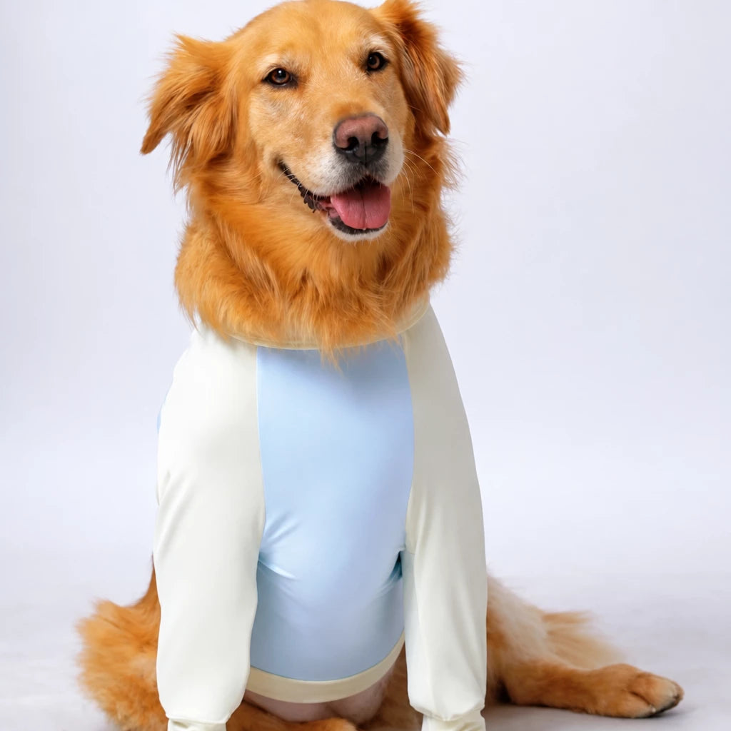 Lightweight Summer Shirt for Medium and Large Dogs