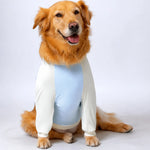 Lightweight Summer Shirt for Medium and Large Dogs