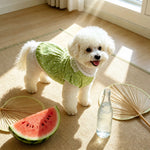 Lightweight Summer Shirt for Dogs and Cats