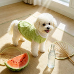 Lightweight Summer Shirt for Dogs and Cats
