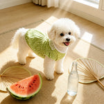 Lightweight Summer Shirt for Dogs and Cats