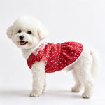 Lightweight Summer Shirt for Dogs and Cats