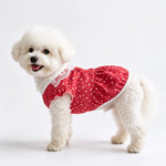 Lightweight Summer Shirt for Dogs and Cats