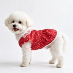 Lightweight Summer Shirt for Dogs and Cats