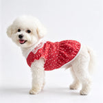 Lightweight Summer Shirt for Dogs and Cats