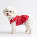 Lightweight Summer Shirt for Dogs and Cats