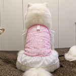 Lightweight Mesh Dog Dress