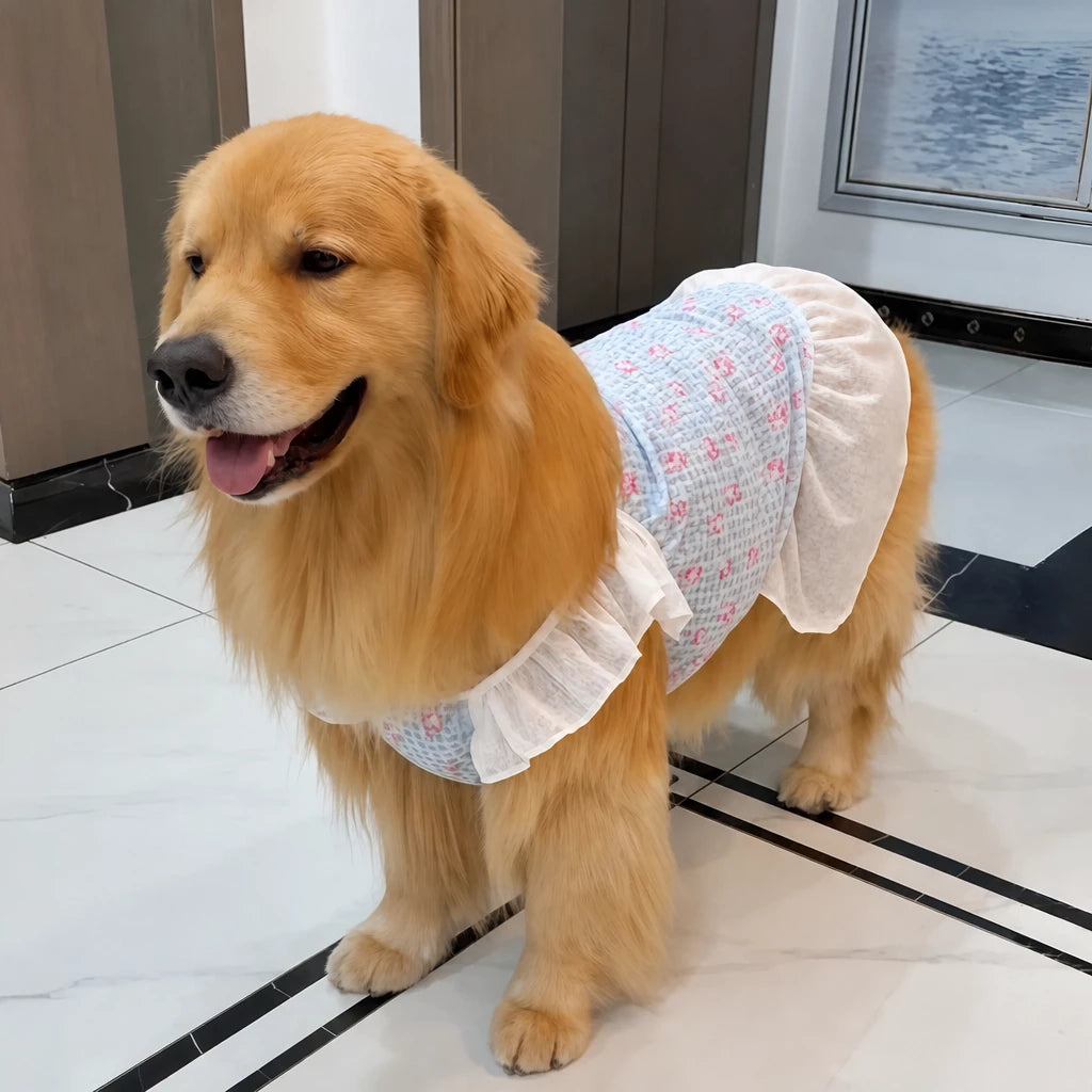 Lightweight Mesh Dog Dress
