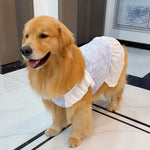 Lightweight Mesh Dog Dress