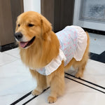 Lightweight Mesh Dog Dress