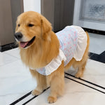 Lightweight Mesh Dog Dress