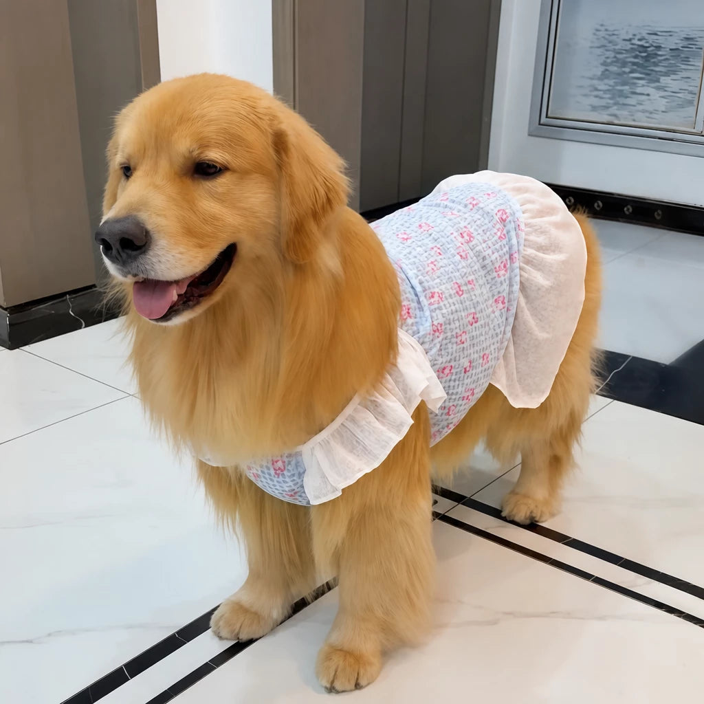 Lightweight Mesh Dog Dress