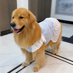 Lightweight Mesh Dog Dress