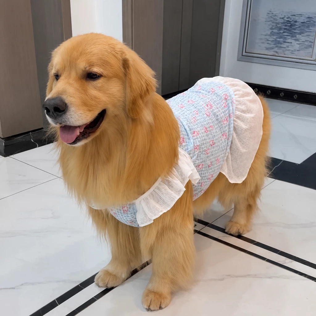 Lightweight Mesh Dog Dress