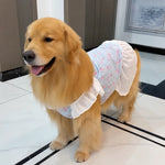 Lightweight Mesh Dog Dress