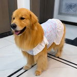 Lightweight Mesh Dog Dress