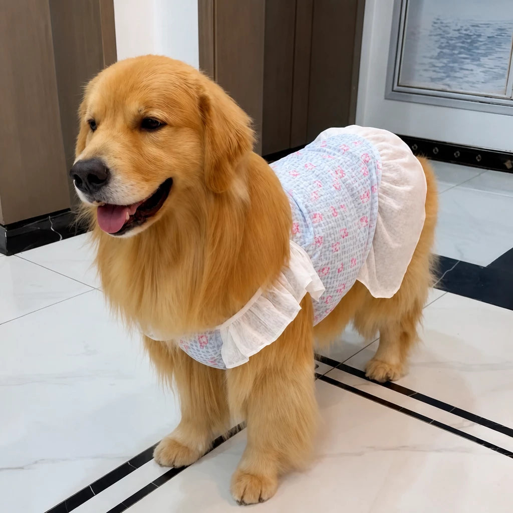 Lightweight Mesh Dog Dress