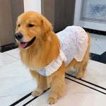 Lightweight Mesh Dog Dress