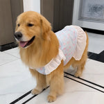 Lightweight Mesh Dog Dress