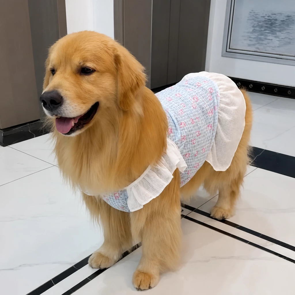 Lightweight Mesh Dog Dress