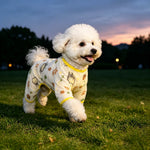 Lightweight Mesh Pet Shirt