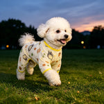 Lightweight Mesh Pet Shirt