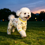 Lightweight Mesh Pet Shirt
