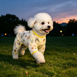 Lightweight Mesh Pet Shirt