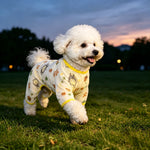 Lightweight Mesh Pet Shirt