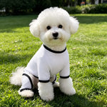 Lightweight Mesh Pet Shirt