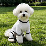 Lightweight Mesh Pet Shirt