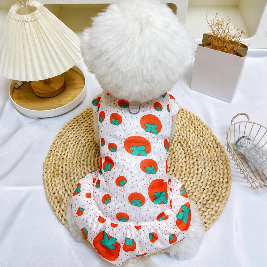 Mesh Pet Dress for Dogs and Cats
