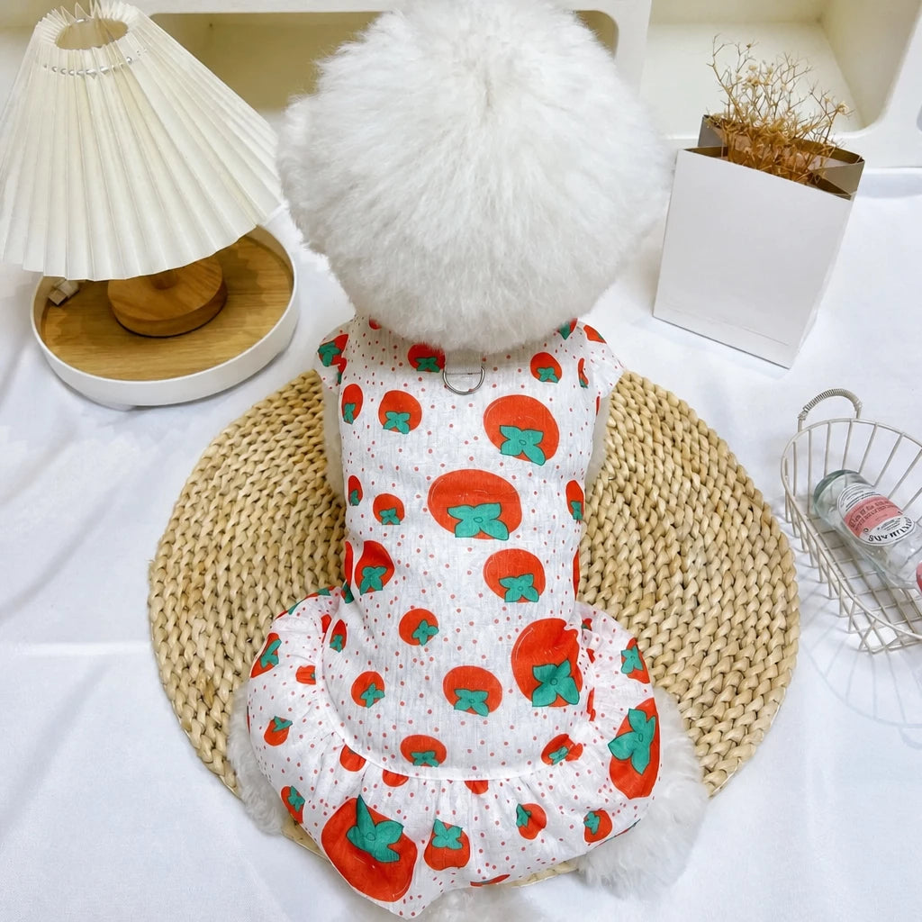Mesh Pet Dress for Dogs and Cats
