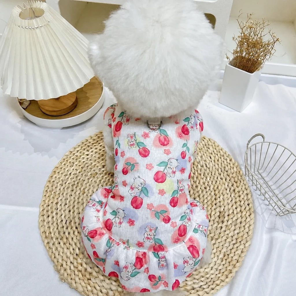 Mesh Pet Dress for Dogs and Cats