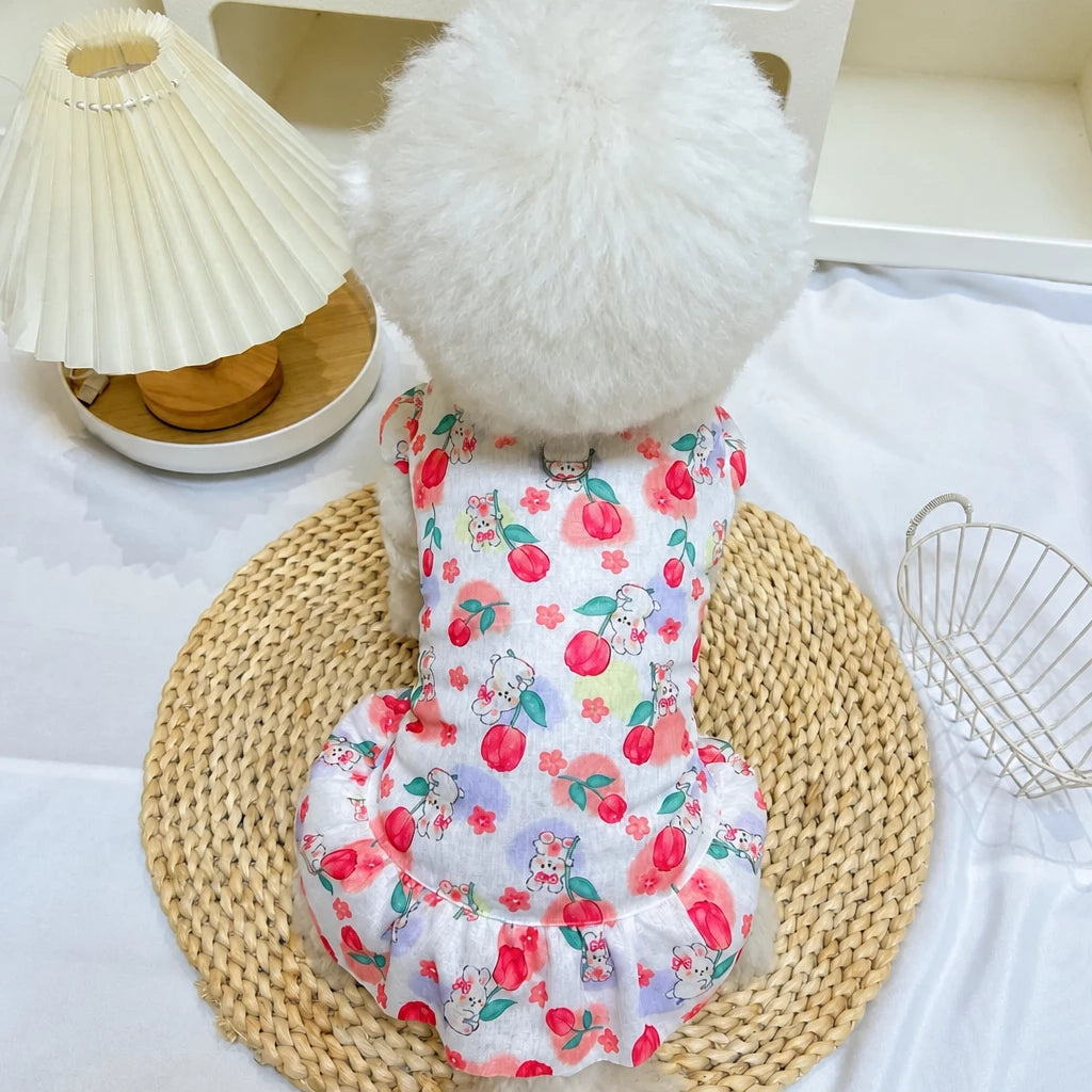 Mesh Pet Dress for Dogs and Cats