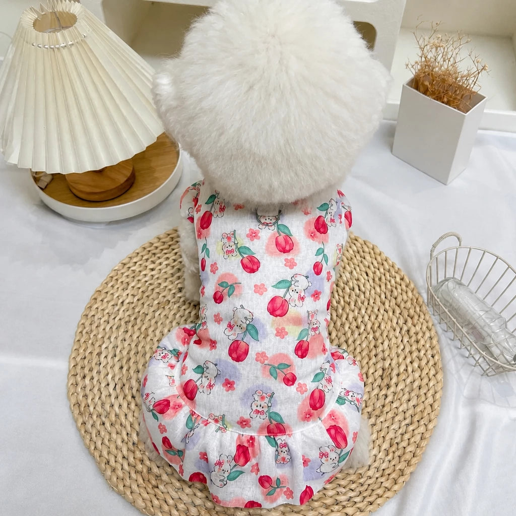 Mesh Pet Dress for Dogs and Cats