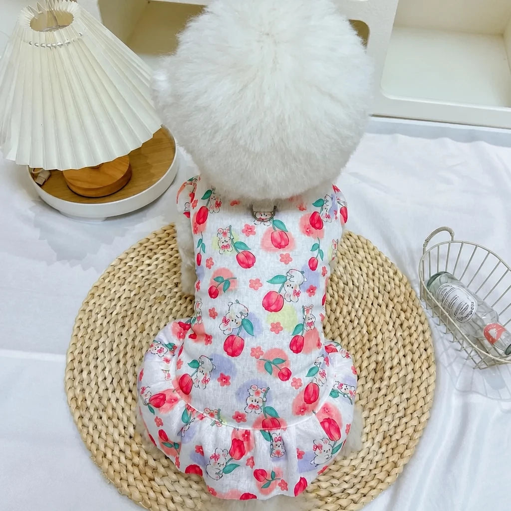 Mesh Pet Dress for Dogs and Cats