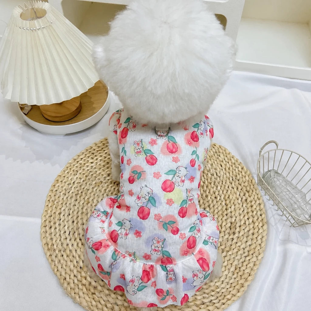 Mesh Pet Dress for Dogs and Cats
