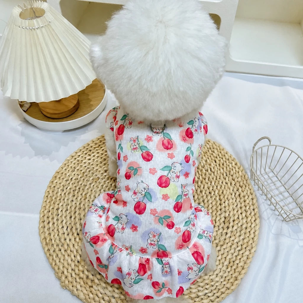 Mesh Pet Dress for Dogs and Cats