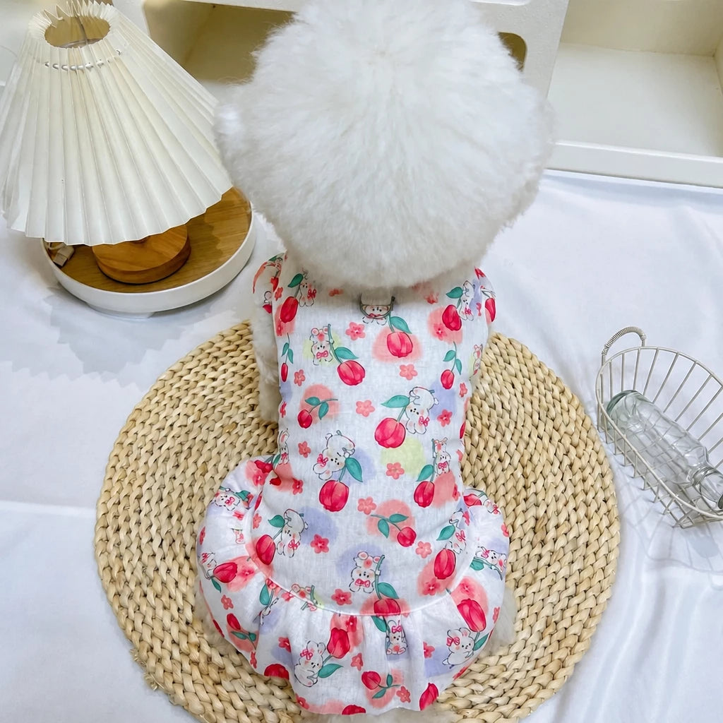 Mesh Pet Dress for Dogs and Cats