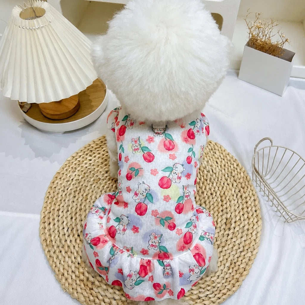 Mesh Pet Dress for Dogs and Cats