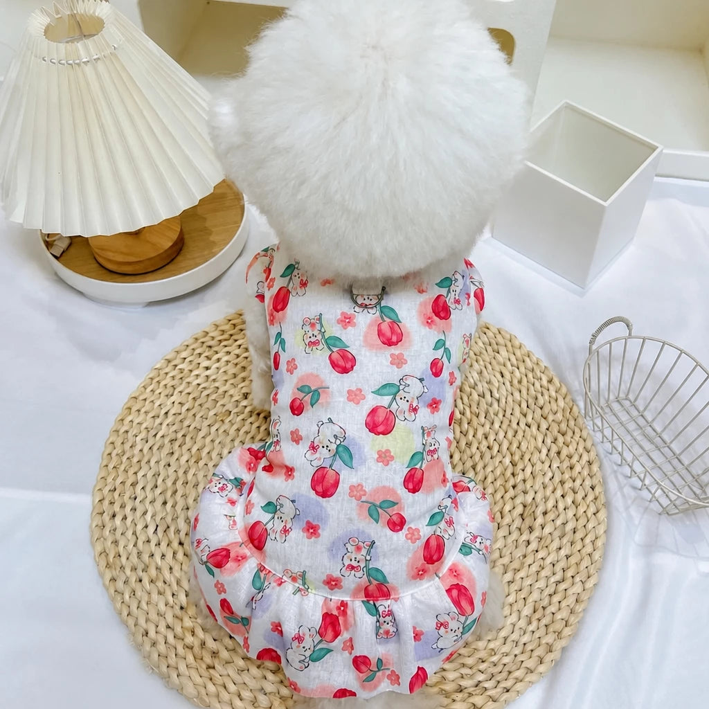 Mesh Pet Dress for Dogs and Cats