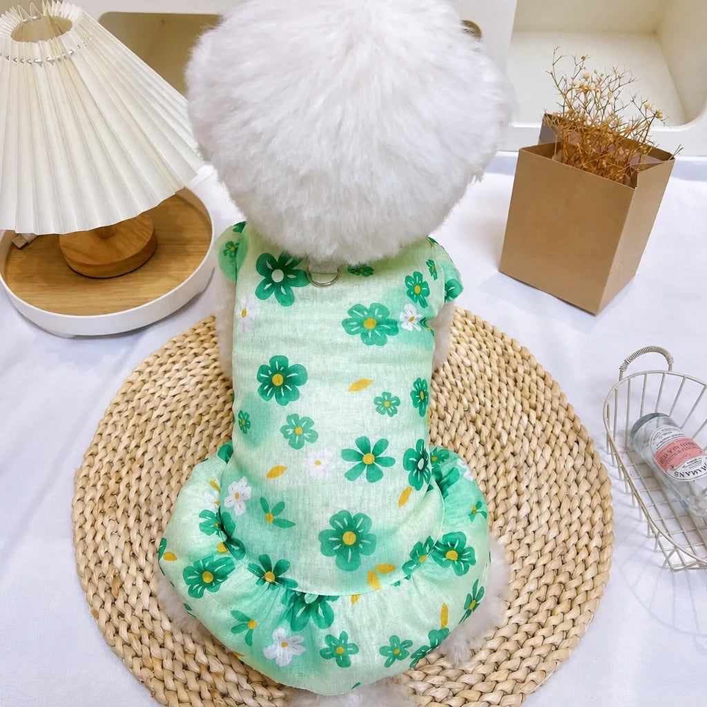 Mesh Pet Dress for Dogs and Cats