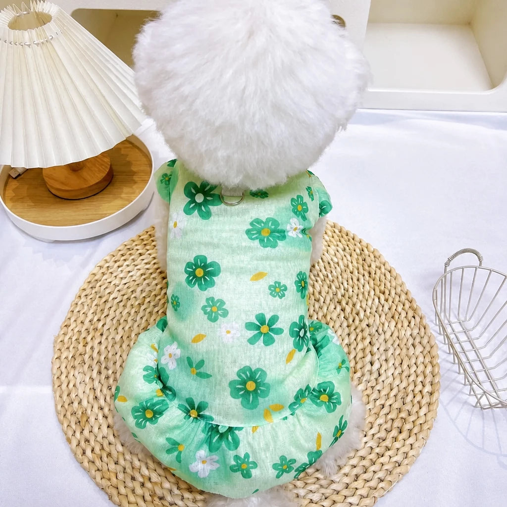 Mesh Pet Dress for Dogs and Cats