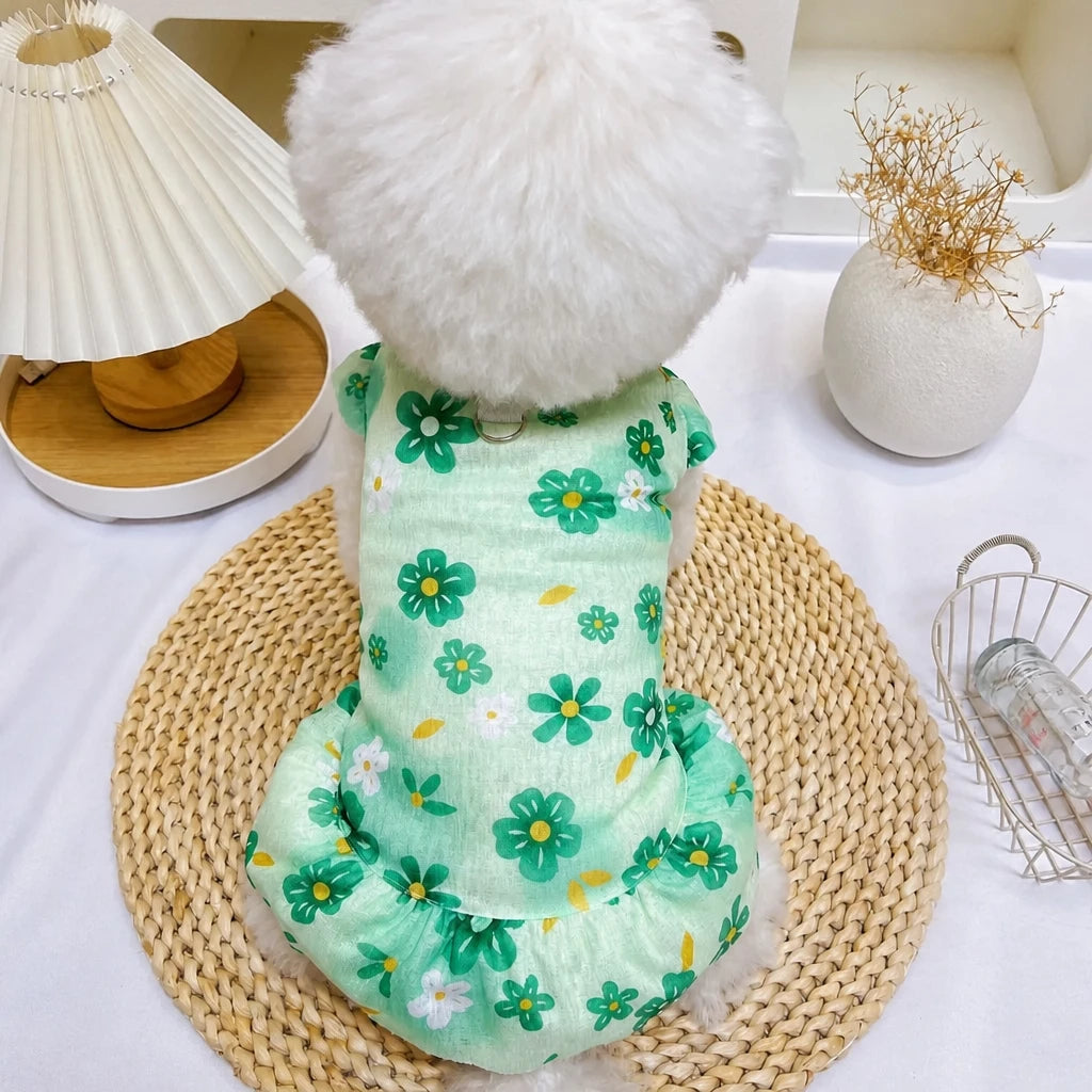 Mesh Pet Dress for Dogs and Cats