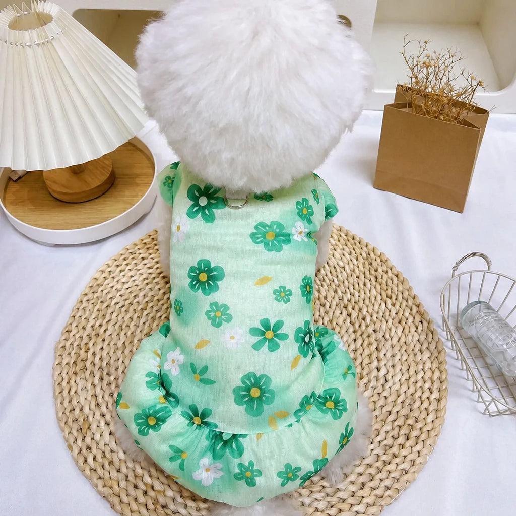 Mesh Pet Dress for Dogs and Cats