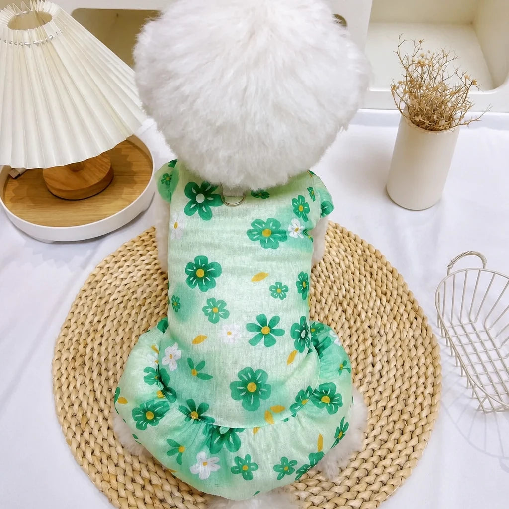 Mesh Pet Dress for Dogs and Cats