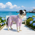 Four-Leg Dog Shirt with Cartoon Print