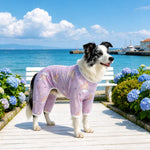 Four-Leg Dog Shirt with Cartoon Print
