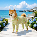 Four-Leg Dog Shirt with Cartoon Print